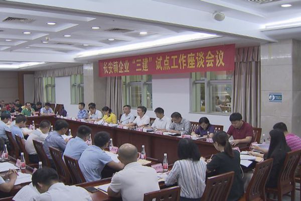 我镇企业三建试点工作座谈会议召