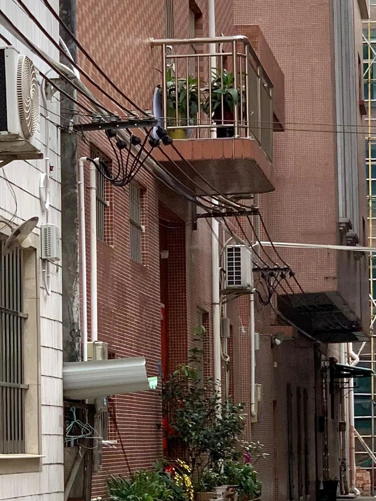 微信图片_20250111113704.jpg