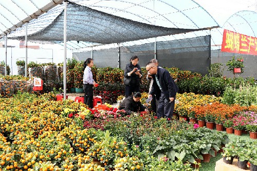 1【标题】行花街行大运 马年花开富贵 (2)~2.jpg