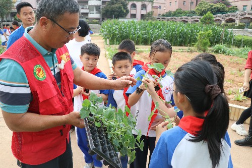 4【标题】鸣凤学子化身“春耕员” 田间地头忙劳作  (3)~1.jpg