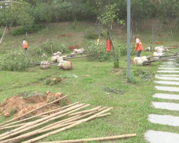 增绿添彩提颜值 海仔湖景观提升项目全面复工1.jpg