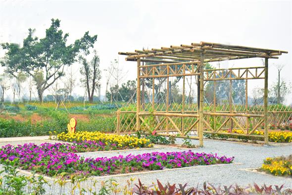 DSC_0753_看图王.jpg