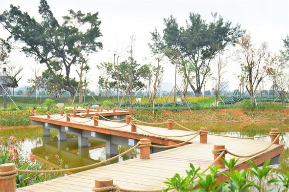 DSC_0791_看图王.jpg