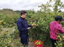 微信图片_20191211111927.jpg