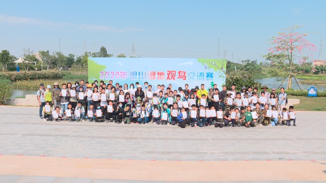 观鸟.jpg