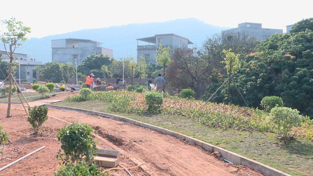 1222黎村美化人居环境_2020-12-22_14-40-57.jpg