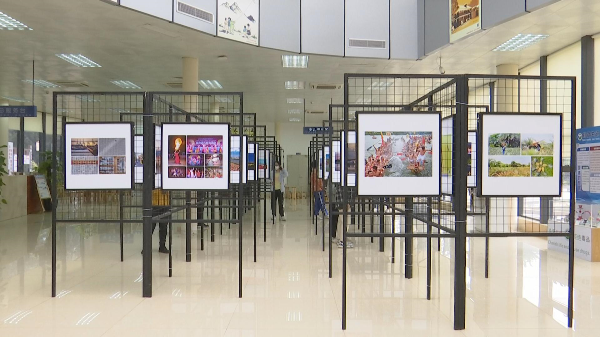 在家门口就能“大开眼界”！ 迎春摄影汇展暨东江文化展在石排图书馆2.jpg