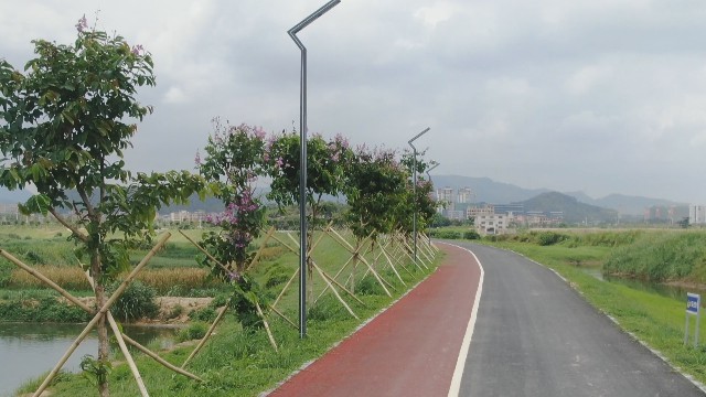0610西部碧道建设有序推进_2021-06-10_11-25-18.jpg