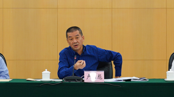 镇属企业清产核资工作总结会-卢主任单人(1).jpg