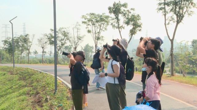 银山湿地观鸟_2021-11-08_15-43-08.jpg