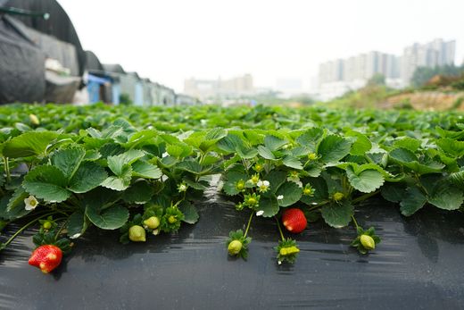 处理图-04182_结果.jpg