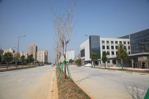 be104721ee06f9235243408db81ab7e_结果.jpg