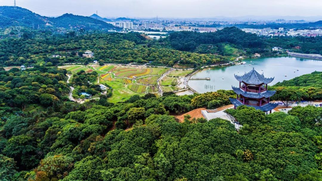 大王山森林公园.jpg