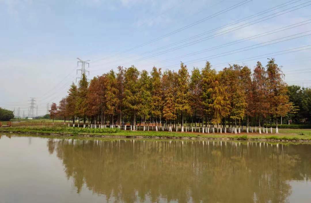 微信图片_20220117161728.jpg