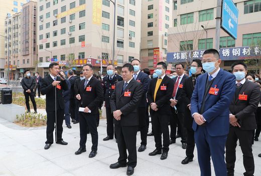 人大代表视察城市品质及创新智造工程_结果.jpg