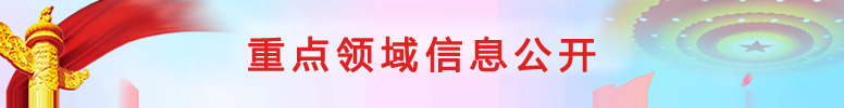 重点领域信息公开