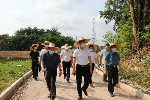 4【标题】大朗加快推进各重点项目建设 (1)~1.jpg