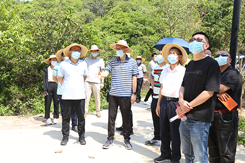 2【标题】大朗：科学、合理谋划凤山农业科技园升级改造.JPG