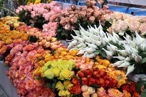 4【标题】“520”告白日 鲜花预订火爆 (3)~1.jpg