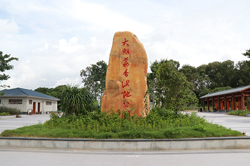5【标题】荔香湿地公园景观提升工程已基本完工.JPG