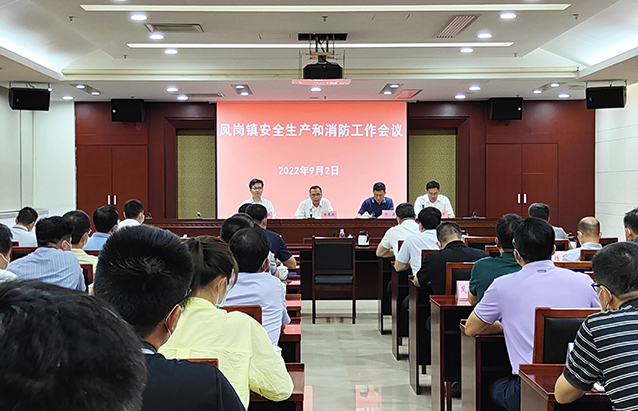 0902凤岗镇召开安全生产和消防工作会议（第124期）（图1） 拷贝.jpg