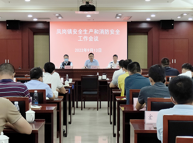 0913凤岗镇召开安全生产和消防安全工作会议（第134期）.jpg