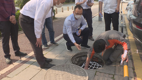 排水井防坠网安全检查.jpg