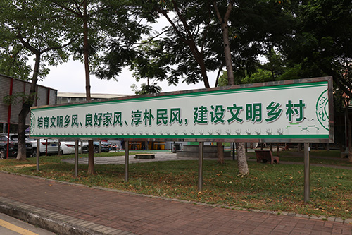 3【标题】“走乡村 看变化”：杨涌村环境整治力度大 焕然一新颜值高.JPG