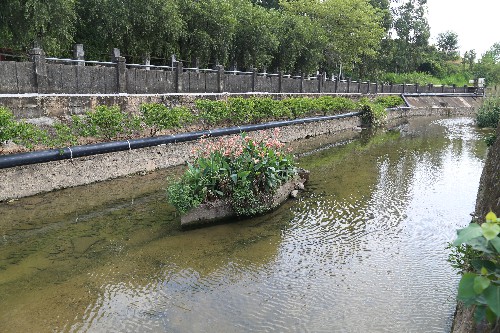 2【标题】水清岸绿见证大朗高质量发展 (10)~1.jpg