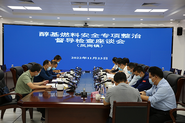 1123 市督导组到凤岗镇督导醇基燃料安全专项整治（第169期）图2.jpg