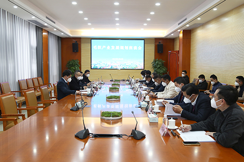 1【标题】大朗：召开毛织产业发展规划座谈会.JPG