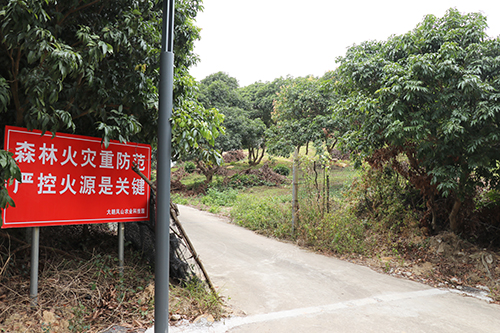 3【标题】大朗扎实做好森林防火工作.JPG
