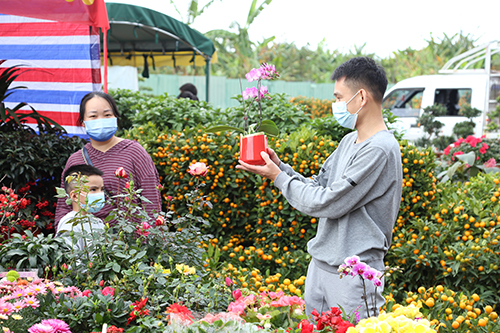 2【标题】逛花市 享受浓浓过年气氛.JPG