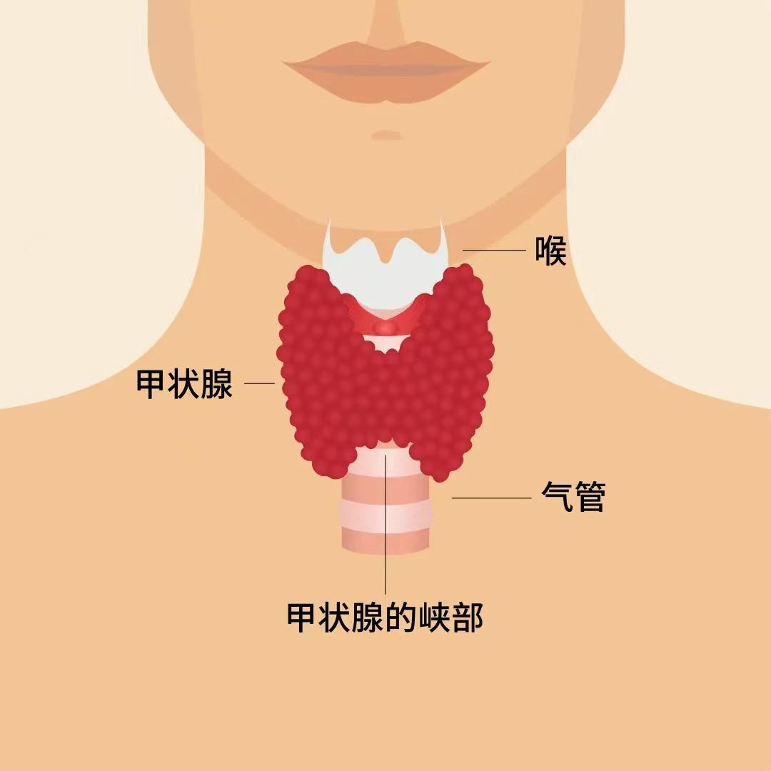 图片18.png