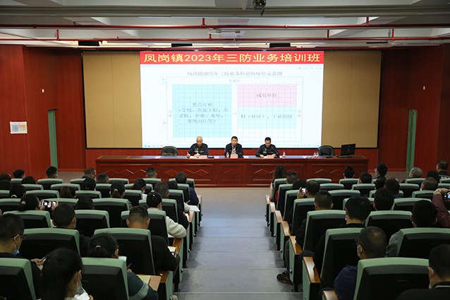 0307练好内功  提升素质  凤岗镇基层干部集中三防业务培训（图2）.jpg