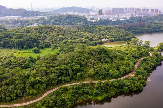 DJI_0596-1_结果.jpg