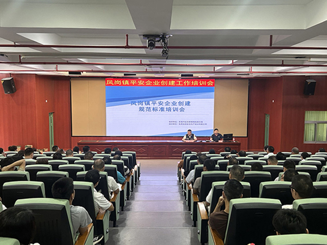 0608凤岗应急管理分局举办平安企业创建大培训(图1).jpg