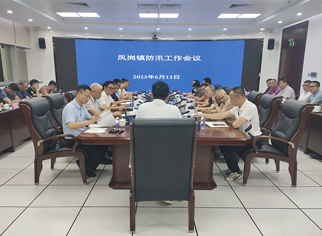 0615  迎战强降雨 全力防内涝 凤岗镇开展“龙舟水”防御和内涝处置工作（图1） 拷贝.jpg