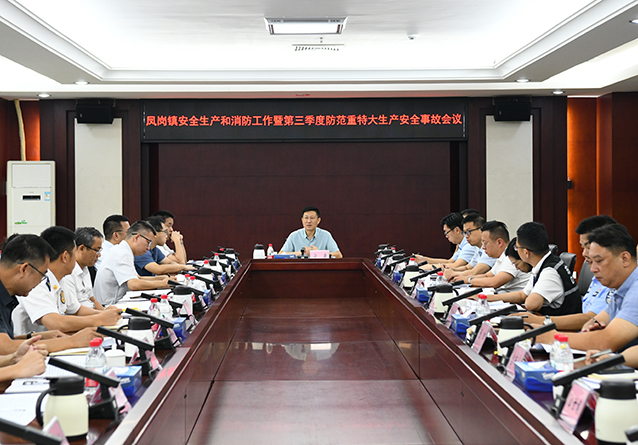 0726凤岗镇召开安全生产和消防工作暨第三季度防范重特大生产安全事故会议.jpg