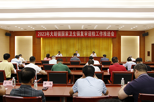 3【标题】大朗召开2023年国家卫生镇复审迎检工作推进会.JPG