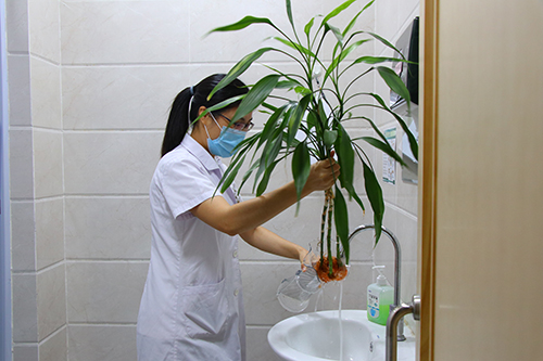 3【标题】“秋蚊猛如虎” 科学灭蚊不再苦.JPG