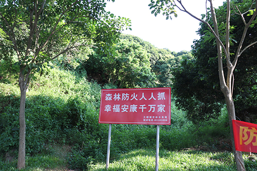 3【标题】大朗扎实做好森林防火工作.JPG