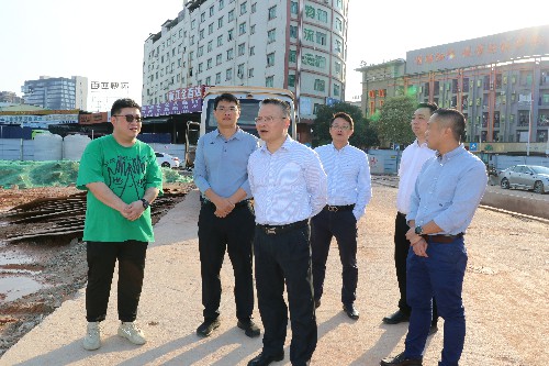 1【标题】镇领导实地督导项目建设进度 (1)~1.jpg