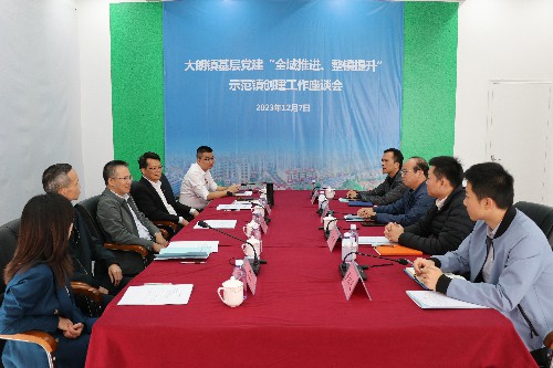 1【标题】市委组织部到大朗调研验收基层党建“全域推进、整镇提升”示范镇创建工作 (10)~1.jpg