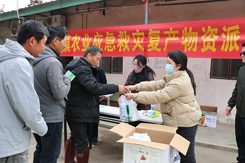 4【标题】大朗镇派发农业应急救灾复产物资 助农复产稳产.JPG