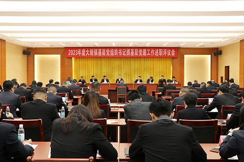1【标题】大朗召开2023年度基层党组织书记抓基层党建工作述职评议会.JPG