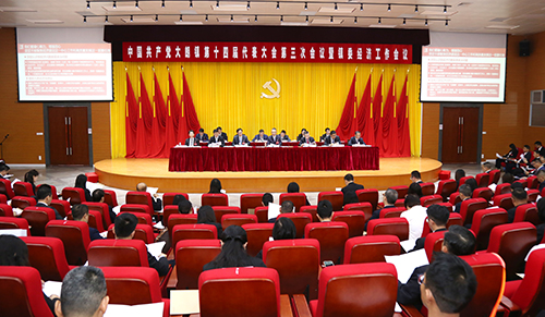 1【标题】中国共产党大朗镇第十四届代表大会第三次会议暨镇委经济工作会议胜利召开.jpg