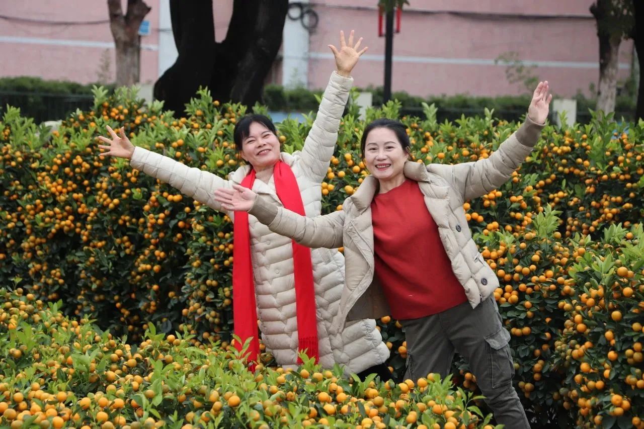 微信图片_20240201170541.jpg