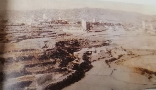 微信截图_20240201150045_副本_副本.png