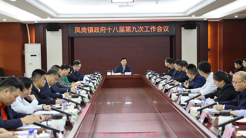 凤岗镇政府十八届第九次工作会议召开.JPG
